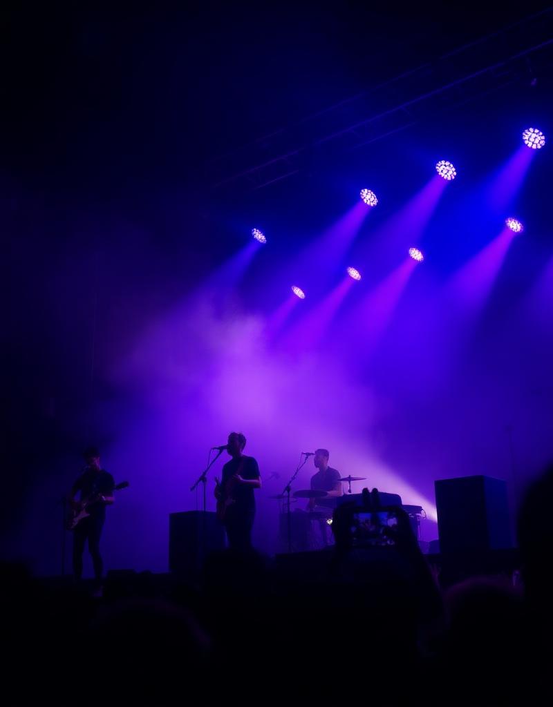 Silverbacks at The Button Factory